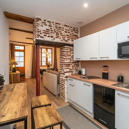 Apartment Typique Hyper Centre - Neuf Premium - Parking Gratuit Albi